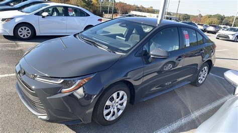 Lantern Gray Corolla 